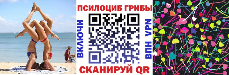 где найти   Тюкалинск  Галлюциногенные грибы MAGIC MUSHROOMS 